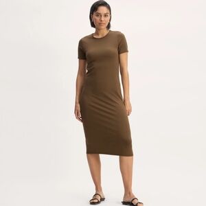 The Form Dress in Cocoa